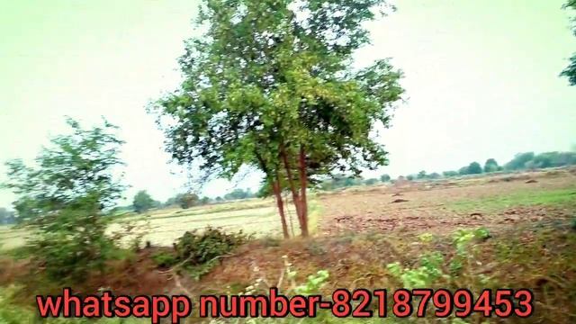 खांसी होगी जड़ से ख़त्म смотреть онлайн