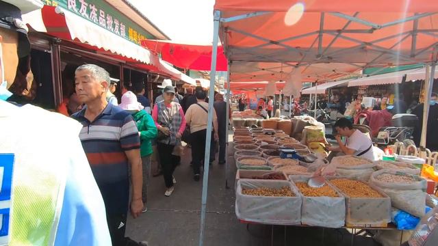 周日马街赶大集，云南人爱吃野生菌，干巴菌1500元一公斤 Yunnan people love to eat wild mushrooms смотреть онлайн