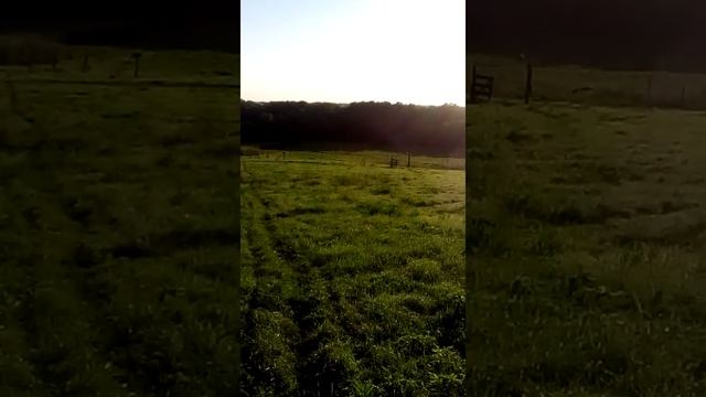 Стих "Русский язык" смотреть онлайн