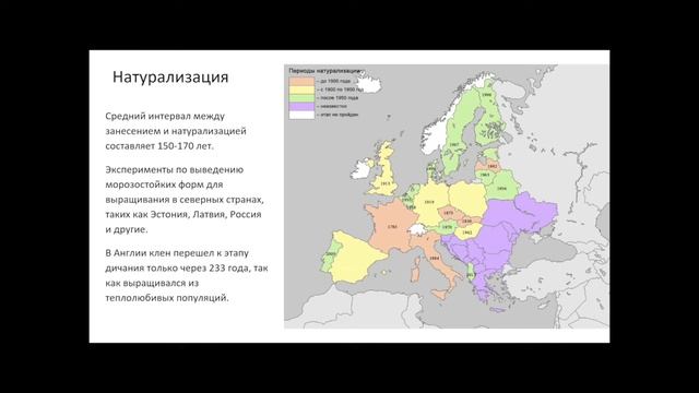 Формирование вторичного ареала Acer negundo в Старом свете смотреть онлайн