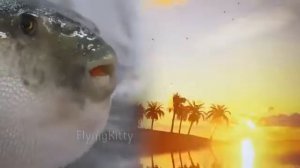 Рыба  фугу + рейв