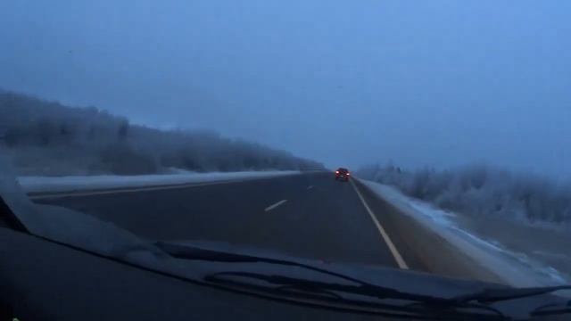 Домой с Риком, а как вы думаете доехали День второй и третий смотреть онлайн