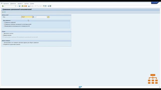 Присвоение ролей в SAP смотреть онлайн