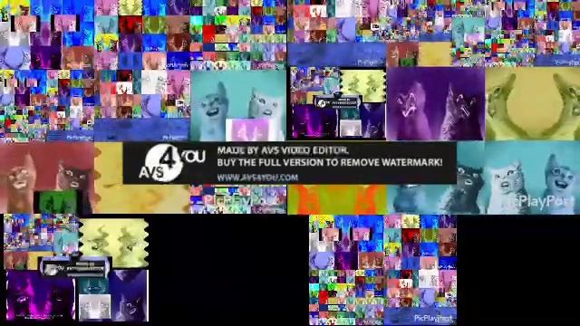 Too many Preview 2 Numa Cats смотреть онлайн