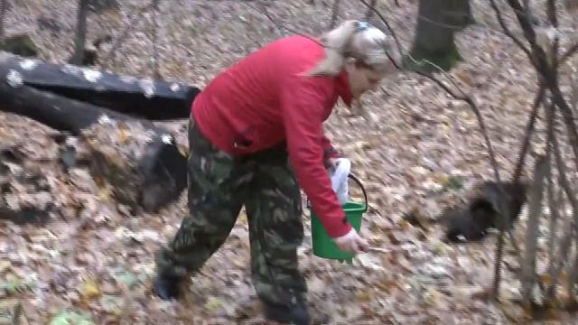 за грибами в Д.Игуменку смотреть онлайн