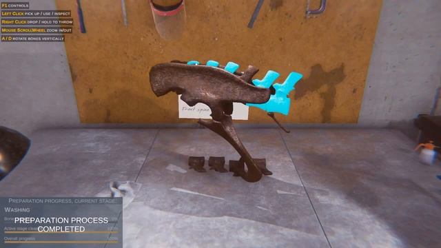 Реконструируем выставочный зал в игре Dinosaur Fossil Hunter: Prologue. смотреть онлайн