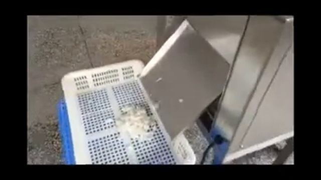 Слайсер нарезки рыбы кальмара на пресервы смотреть онлайн