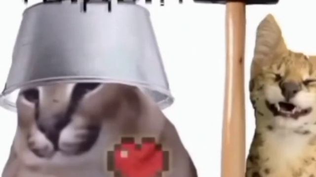 РЕКЛАМА ОТ ШЛЁПЫ