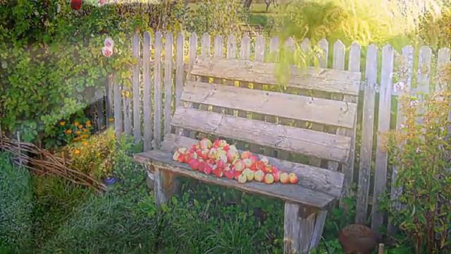 Тихая моя родина. Душевная песня. смотреть онлайн