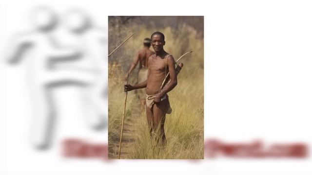 A Response To Lars Andersen: A New Level Of Archery