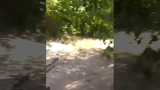 Девочки ругают мальчиков смотреть онлайн