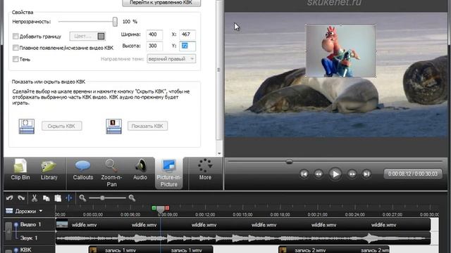 Camtasia Studio 7 - Видеоурок 16 - Редактирование видео с веб камеры. Editing videos смотреть онлайн