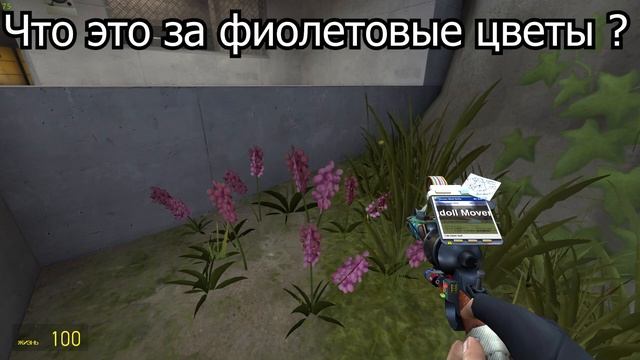 ЧТО ЭТО ЗА ЦВЕТЫ ? - Михаил Репов смотреть онлайн