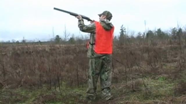 birdshooting смотреть онлайн