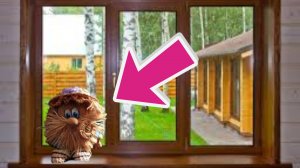 "Счастья вашему дому". Евгений Чеширко.