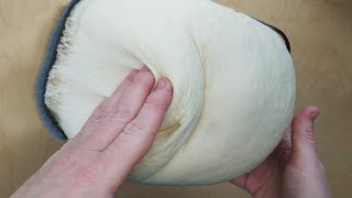 Тесто на все случаи жизни/Тесто для пирожков,пиццы,хлеба и булочек/Дрожжевое тесто смотреть онлайн