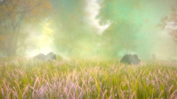 Hidden Treasures in the Forest of Dreams | GamePlay PC