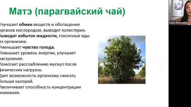 Термокомплит (Хлыстова Екатерина) смотреть онлайн