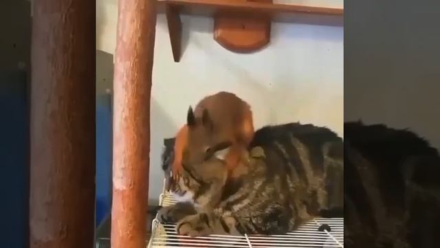 массаж смотреть онлайн