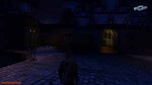 Gothic II: Ночь Ворона #17 - Блуждающий огонёк