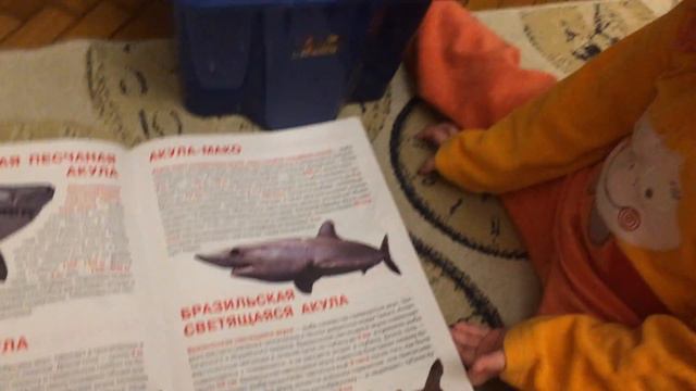 Гениальный ребёнок смотреть онлайн