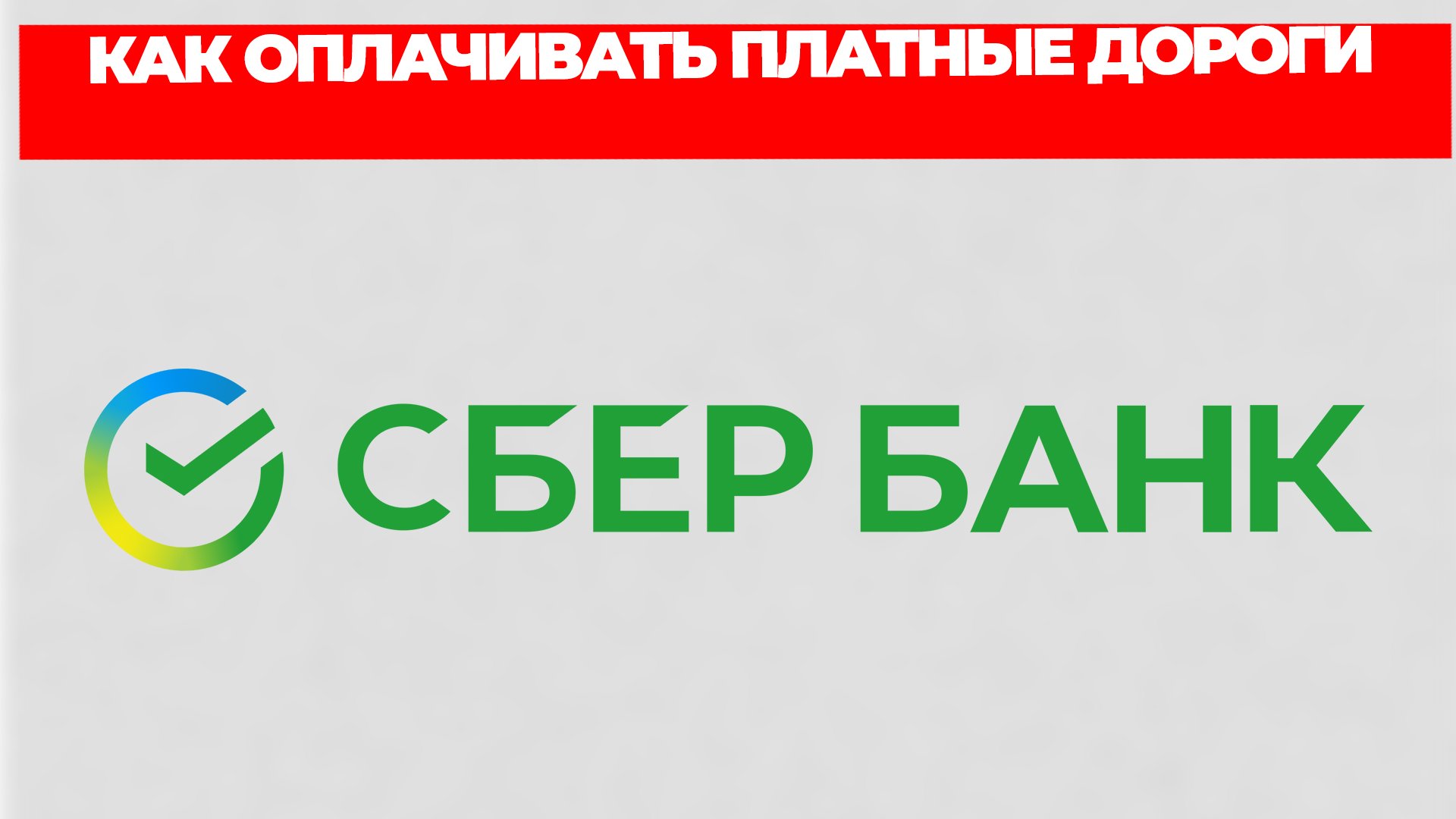 Всезнающий Енот