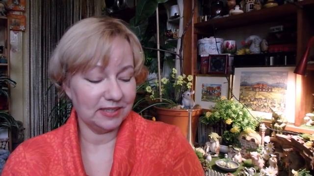 дневник неисправимого шопоголика - 34 смотреть онлайн