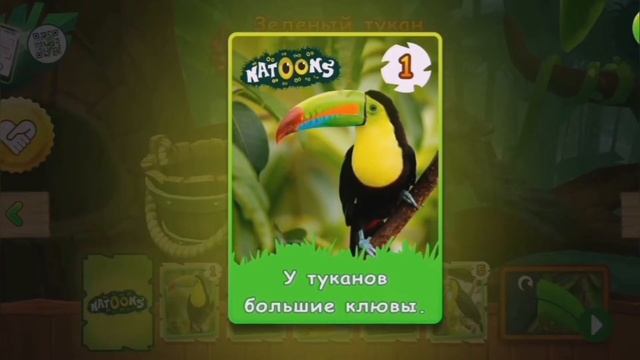 Мультики NATOONS про птиц! Ара, очковая сова, туканы.