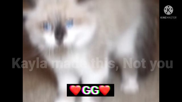 Talking Kitty Cat edit|Cringe warning|Read desc смотреть онлайн