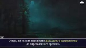 Саид Дубаха сура Аль Муминун