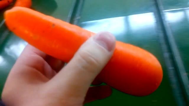 Машины для сушки овощей, Машины для сушки картофеля, Машины для сушки моркови, Машины для сушки све смотреть онлайн