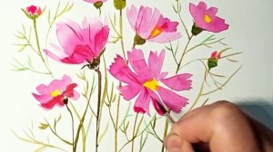 Как нарисовать цветы Космеи акварельными красками.