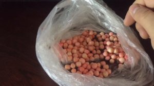 Рыбалка На ПЕНОПЛАСТ . Хорошая наживка.Как Одеть Пенопласт На Крючок