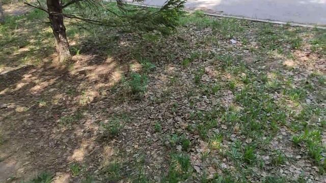 Московский, Челны Хлеб ?, Подземка, прогулка. смотреть онлайн