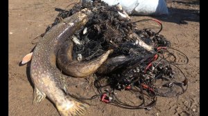 АнтиБрак 2019. Поймали браконьера. Сняли кучу браконьерских сетей.  Рейд против сетей на Веряже.