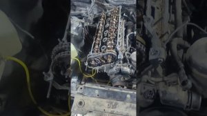 ремонт мотора bmw M54b30. давят газы