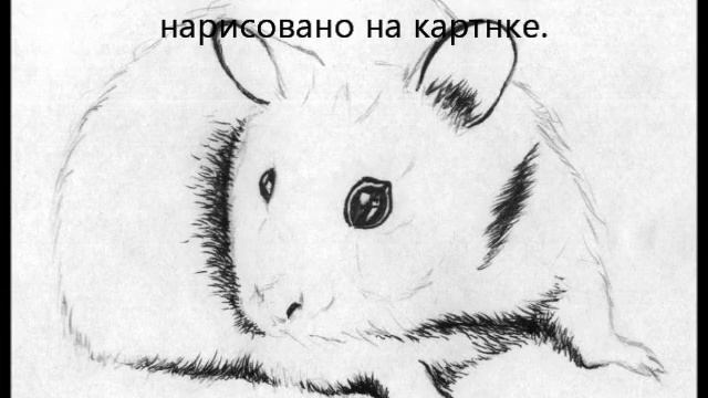как нарисовать хомяка смотреть онлайн