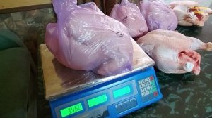 Лучше некуда! Вес тушки бройлеры в 47 дней! Комбикорм Южная Корона?Бройлеры Аброр Айкрес