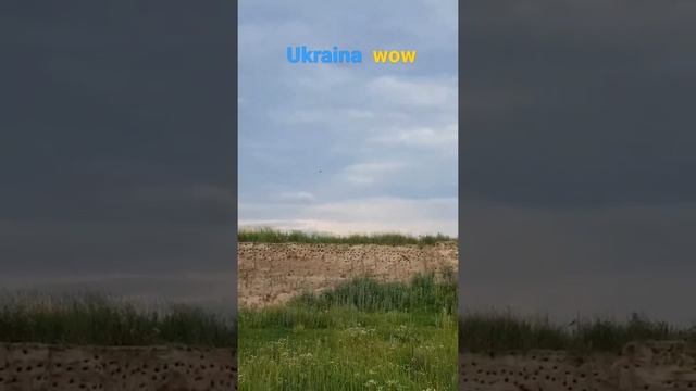Where do swallows live! Где живут ласточки! #ukraine смотреть онлайн