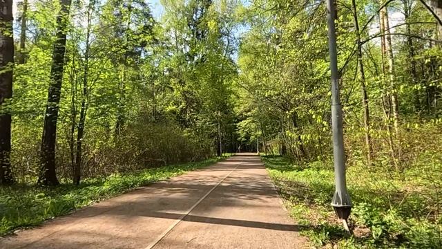 Сынишка невесты провел на свадьбу блаженную, чтобы покормить… А когда у свидетельницы начались роды смотреть онлайн