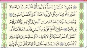 Шейх Айман Сувейд сура Ан Намль стр 378