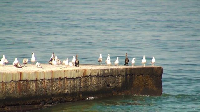 Море 9 6 23 смотреть онлайн