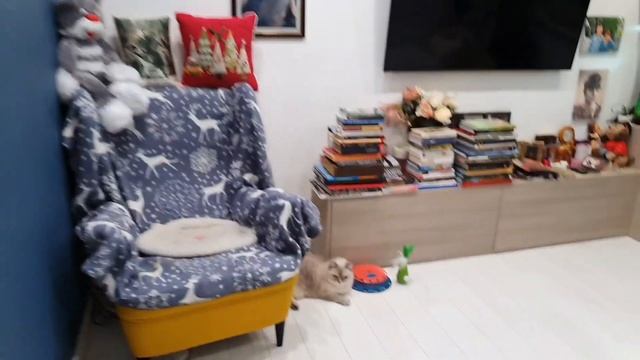 Новый костюм..потоп и разборки с мамой смотреть онлайн