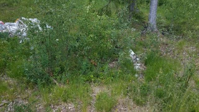 ПОКАТУШКИ НА САМОДЕЛЬНОМ ТРАЙКЕ С ДВИГАТЕЛЕМ ОТ БЕНЗОПИЛЫ ДРУЖБА 2 смотреть онлайн