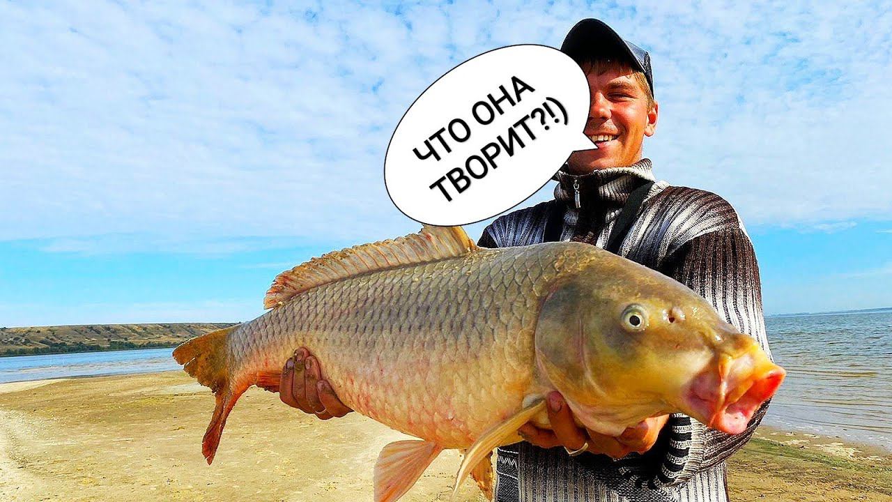 ЖЕСТЬ! ПокЛёвКи КруПным ПЛАНОМ !!! ОБЖИГАЮТ РУКИ ! Рыбалка 2021 смотреть онлайн