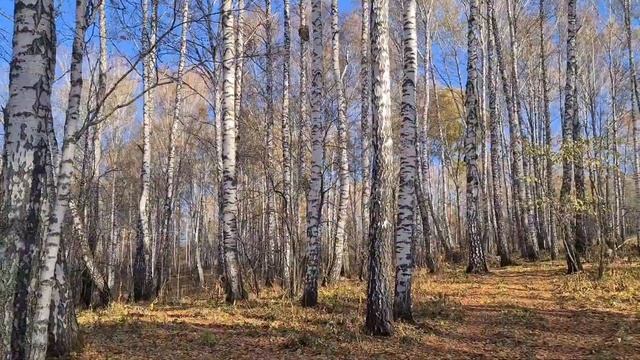 ОКТЯБРЬ-МАГИЧЕСКИЙ МЕСЯЦ. смотреть онлайн