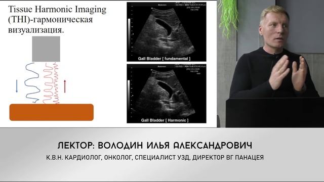 Оптимизация ультразвуковых изображений в ветеринарной визуальной диагностике. смотреть онлайн