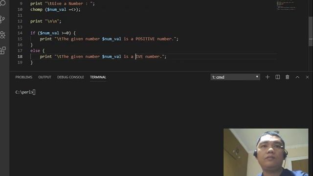 Positive and Negative Number Checker in PERL смотреть онлайн