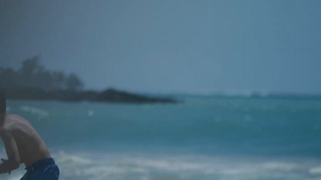 Portrait of Hapuna Beach丨BMPCC4K+Canon FD 50mm/70-210mm(Vintage) смотреть онлайн