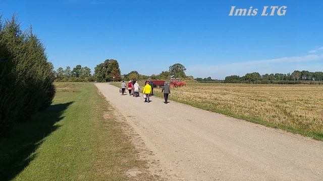 Т-25 и польская двухрядная прицепная копалка Z609. Осень 2022. смотреть онлайн